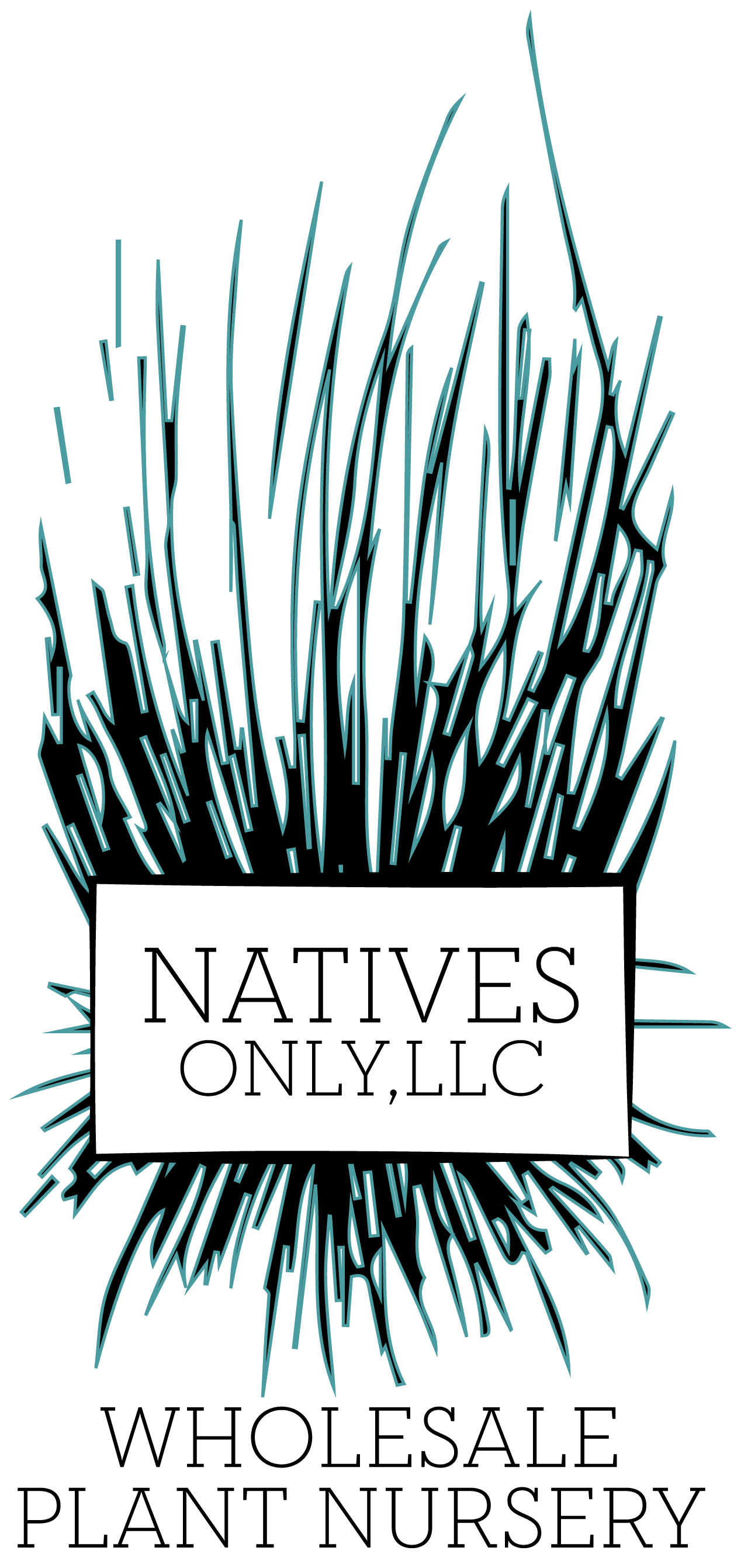 NativesOnly Logo